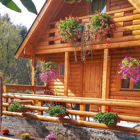 Brvnara Borovik Villa Cetinje Exteriör bild